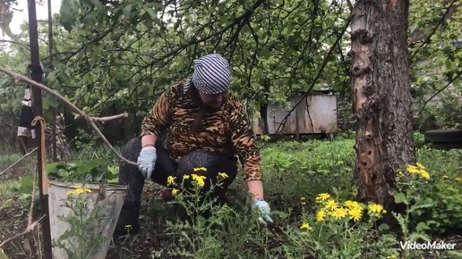 Дача Весна Видео из Архива