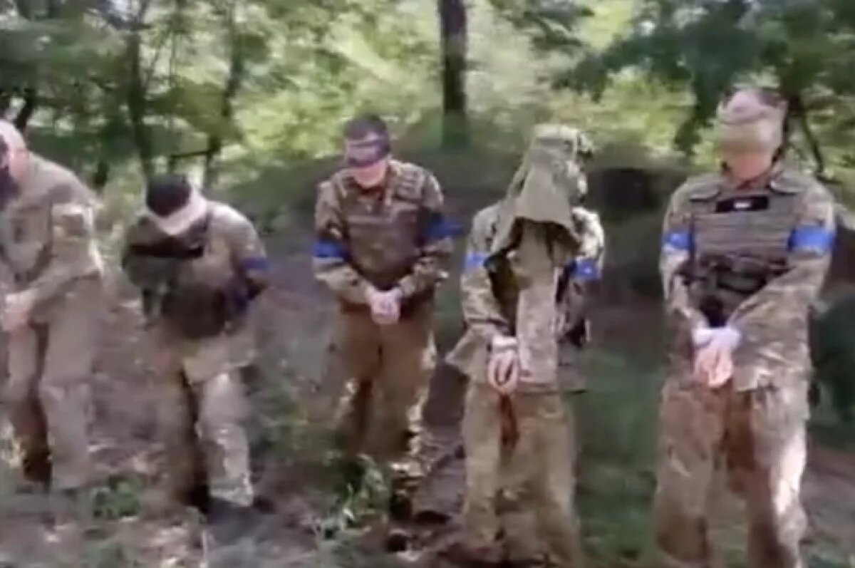    В плену «азовцы» начинают пускать слезу.