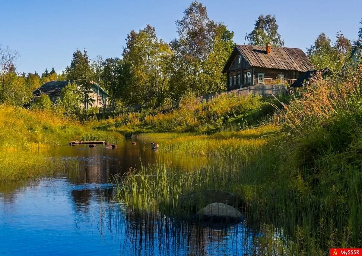 Из открытых интернет источников.