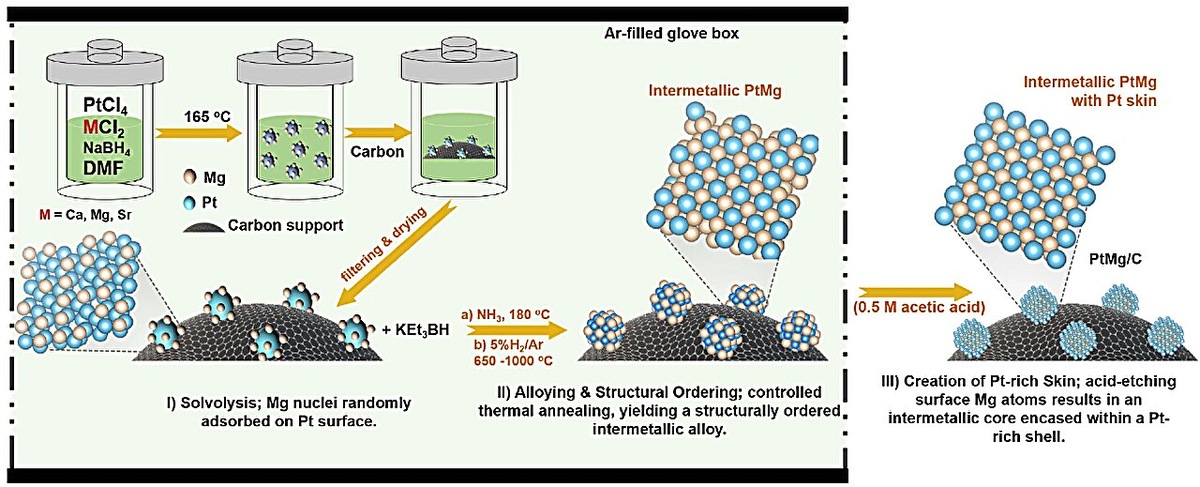 Источник: Nature Communications (2024). DOI: 10.1038/s41467-024-51280-2  📷
