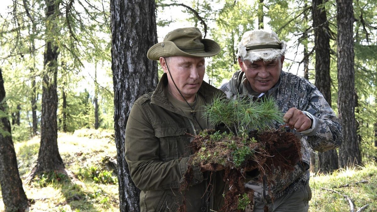     Владимир Путин и Сергей Шойгу. Источник: kremlin.ru Автор фото: Пресс-служба Кремля