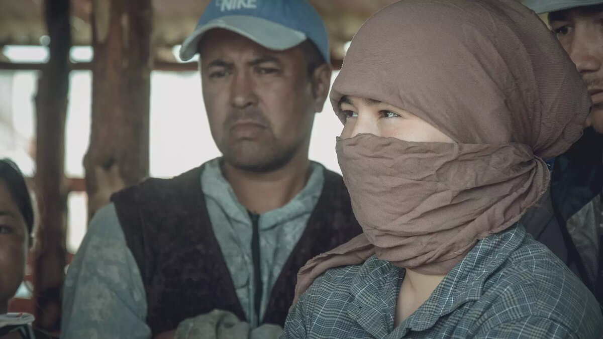     Источник: 1MI