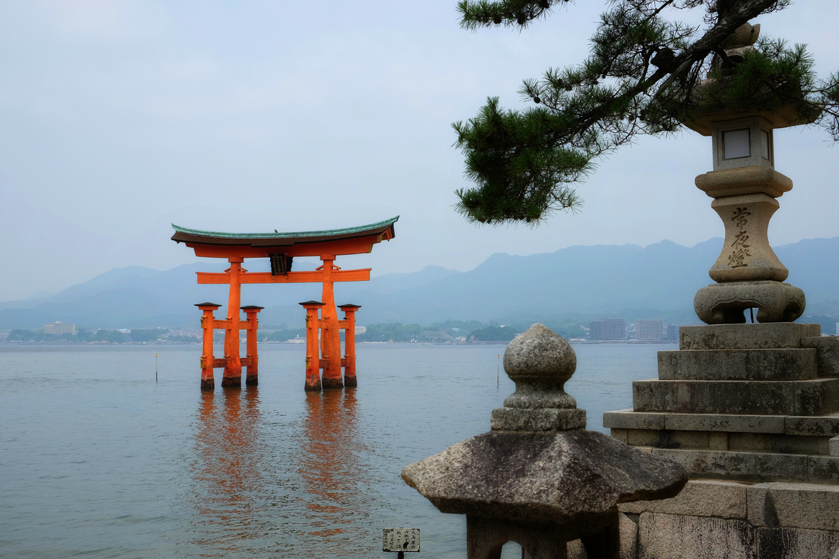 Приключения неразлучных друзей продолжаются. В этот раз Ховард решил во что бы то ни стало избавить Сейдзи от гидрофобии и научить его плавать.