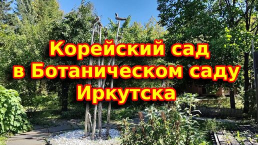 下载视频: Корейский сад в Ботаническом саду ИГУ