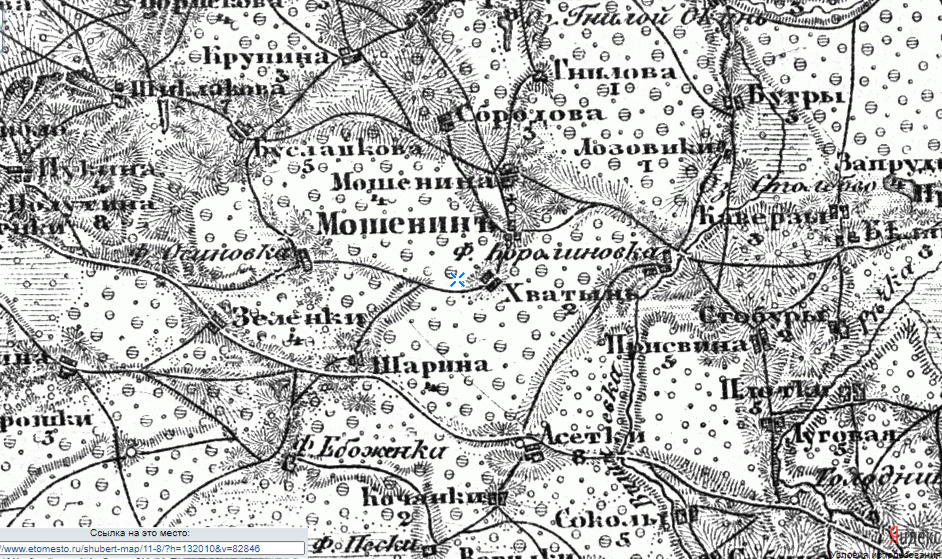 Фрагмент карты Невельского уезда XIX века