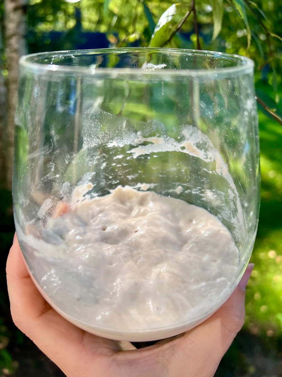 Хлебная закваска Eva Bread через час после кормления. 