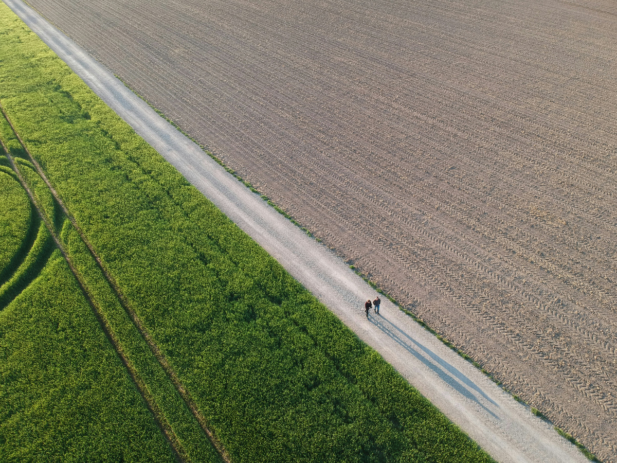 "Одно сердце на двоих, одна мечта, Лишь бы в этом плавании выдержала мачта."(с) Фото: Unsplash