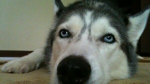    CC BY-SA 2.0 / Jena Fuller / IMG_0898