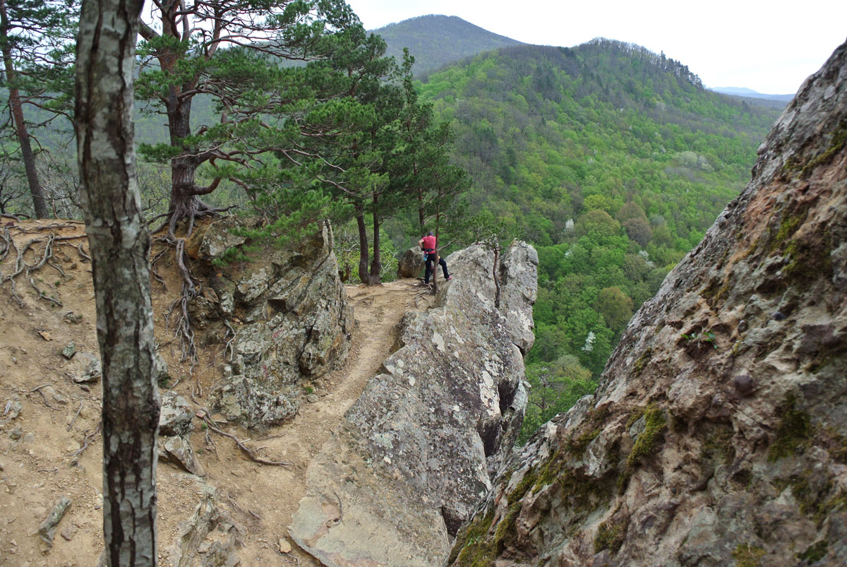 Окрестности поселка Планческая Щель