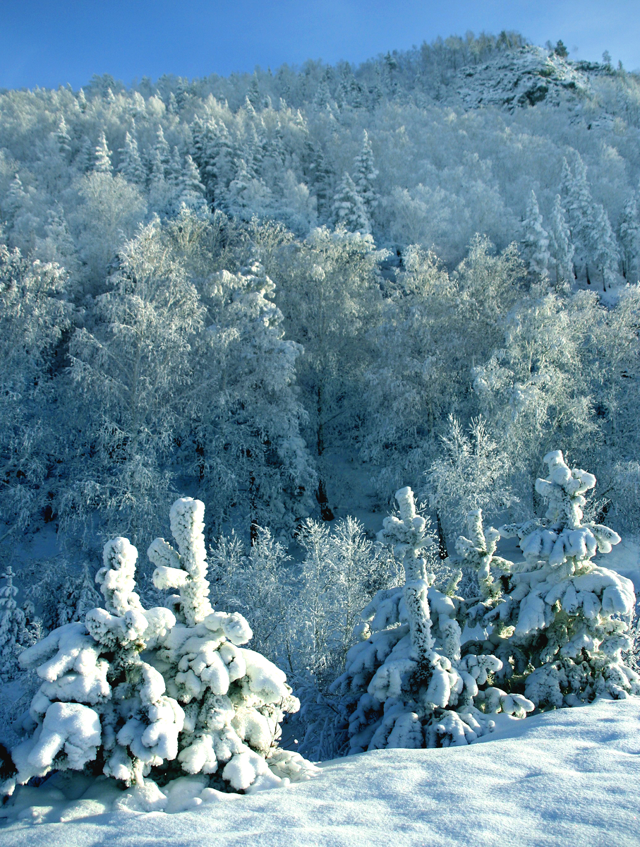 Фотография, стихотворение Василия Глуцкого