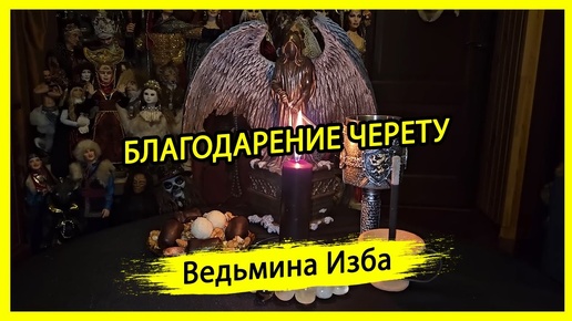 БЛАГОДАРЕНИЕ ЧЕРЕТУ. ДЛЯ ВСЕХ. #ВЕДЬМИНАИЗБА ▶️ #МАГИЯ