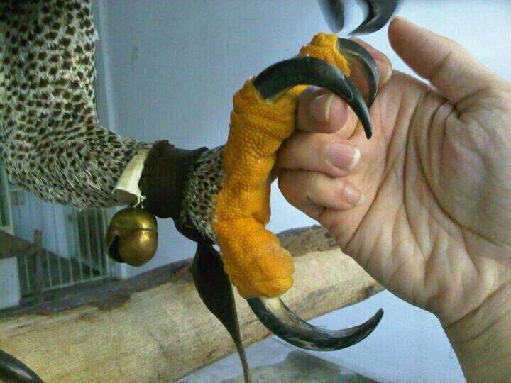 Это оружие не прощает ошибок. 