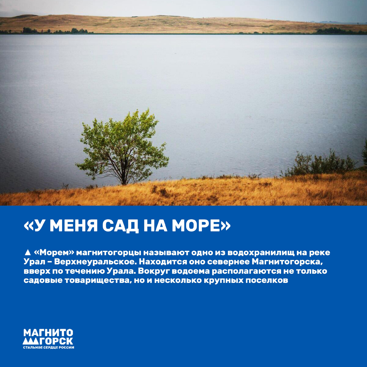 1. "У меня сад на море"
