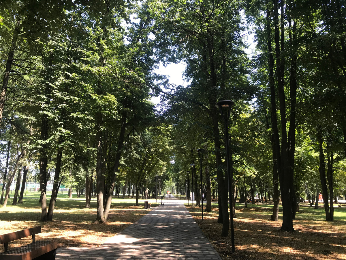 13 июля 2024 14:12