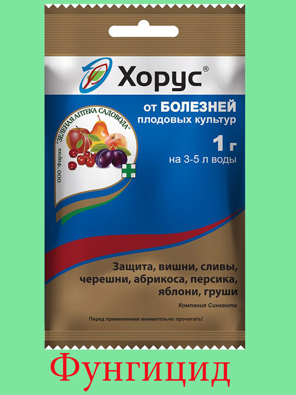 "Хорус" - Фунгицидное (противогрибковое) средство. Что им обработать в саду сейчас в сентябре?