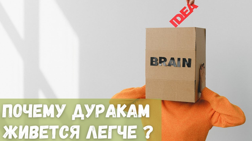 Почему дуракам живется легче?