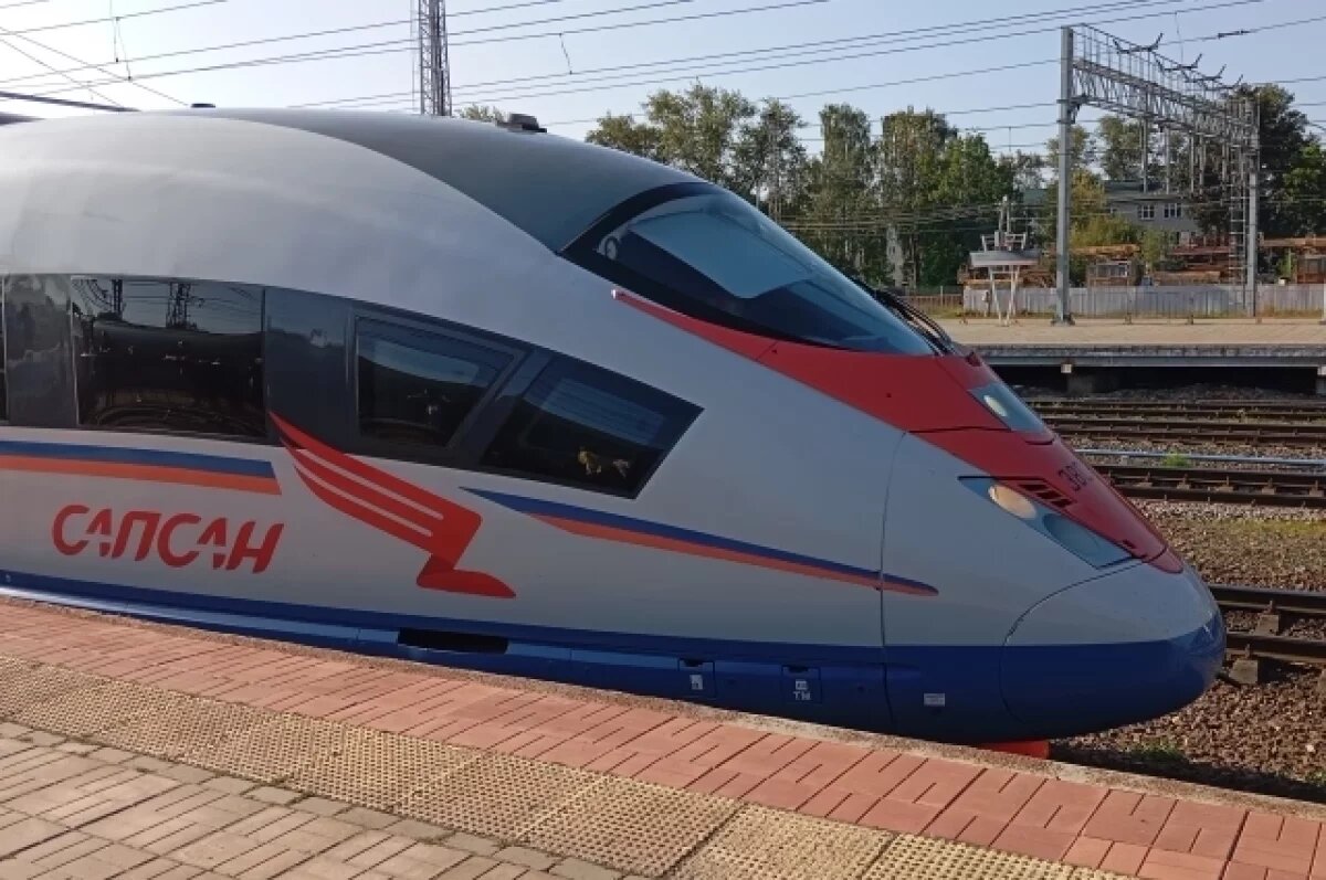    Забрызганный кровью «Сапсан» прибыл из Петербурга в Москву
