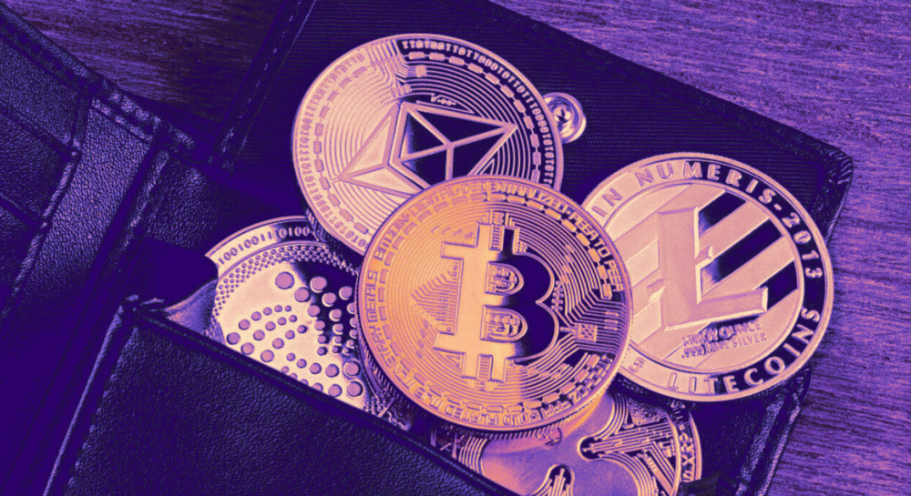 Фото: stockphoto-graf/ShutterStock