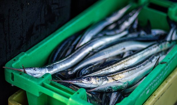    Фото: Jens Büttner / Globallookpress.com