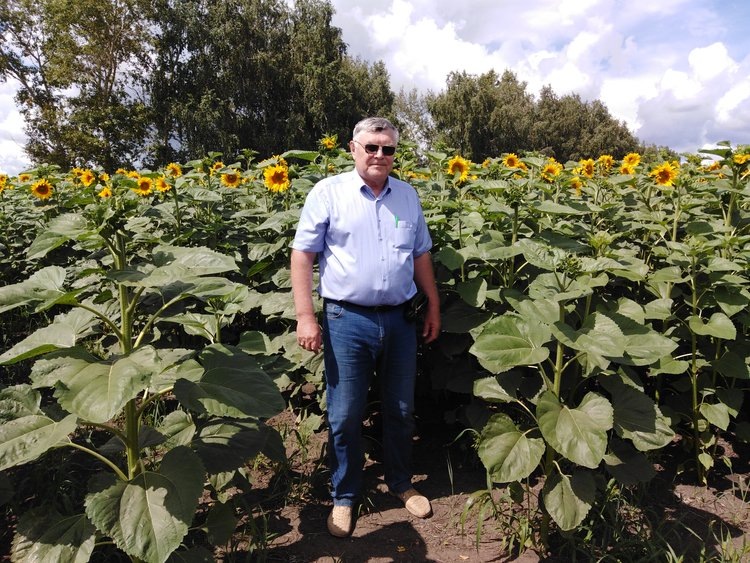    No-till - забота о почвах и будущем России