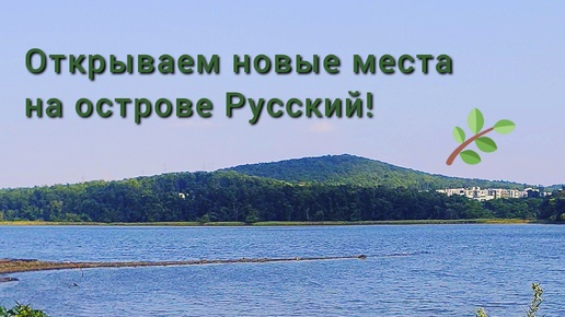 Гуляем по набережной бухты Новик на острове Русский, очень красивые виды. Побыли на Канале. Умиротворение.Природа