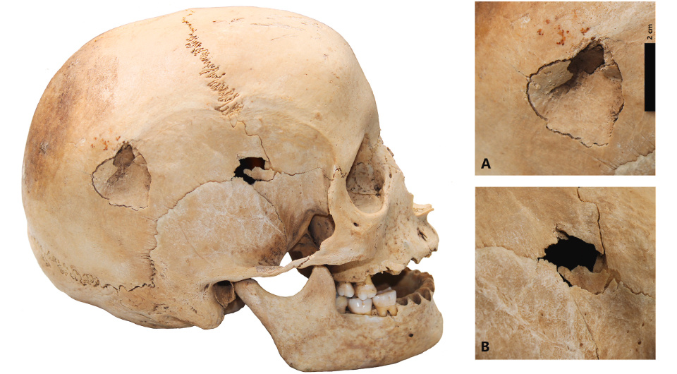   Veronica Alberto-Barroso et al. / Quaternary Science Reviews, 2024