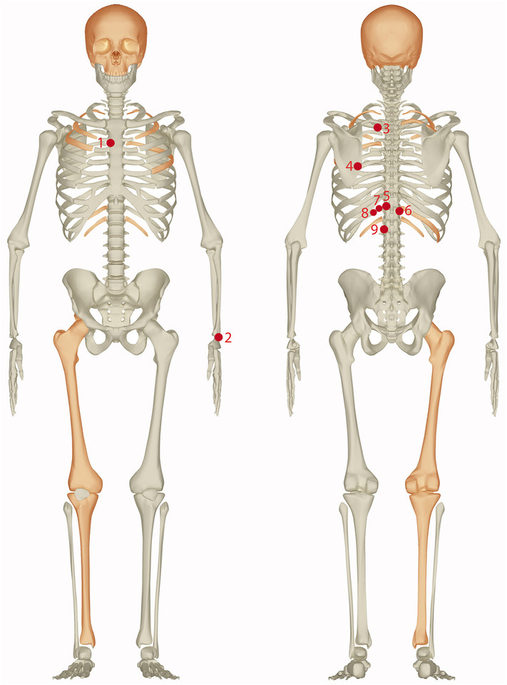   Veronica Alberto-Barroso et al. / Quaternary Science Reviews, 2024