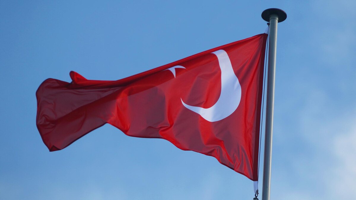 Фото: Maksim Konstantinov/globallookpress.com