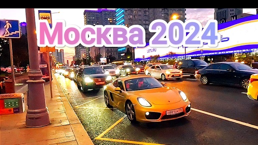 Хроники натуралиста / Москва 2024