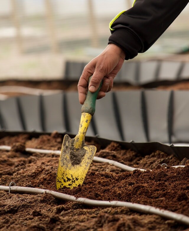 фото https://unsplash.com/photos/person-holding-yellow-and-green-gardening-shovel-c23Lv2fzEyo