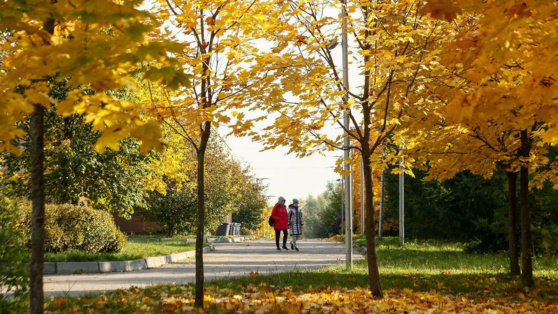    В Гидрометцентре пообещали сухую погоду в Москве до конца первой декады сентября Татьяна Сидорова