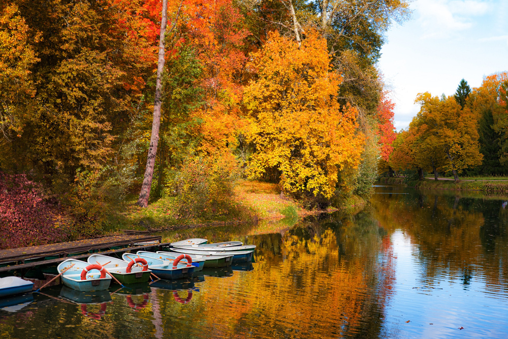 Фото: shutterstock