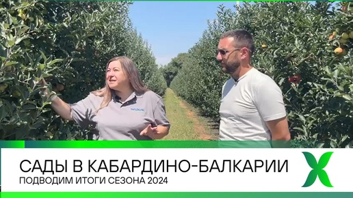 Сады в Кабардино-Балкарии. Итоги 2024