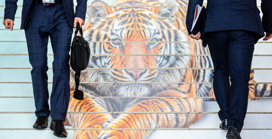 Фото: Владимир Смирнов/ТАСС