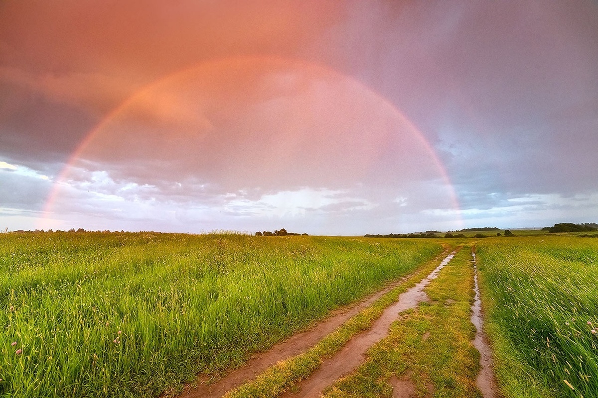Фото Елены БЕЛОЗОРОВОЙ.