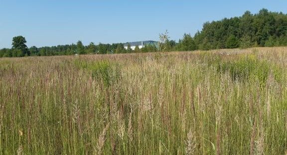    Фото Минимущества