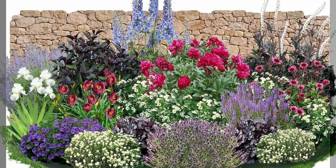 ТОП-10 самых долгоживущих многолетних цветов: красивые цветы, которые как деревья десятилетиями растут на одном месте