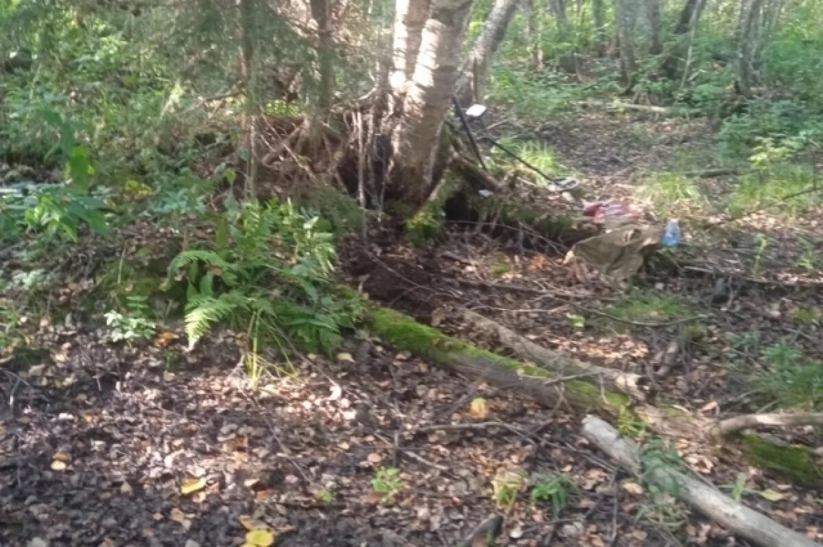    В Западнодвинском округе нашли останки бойца, погибшего в 1941 году