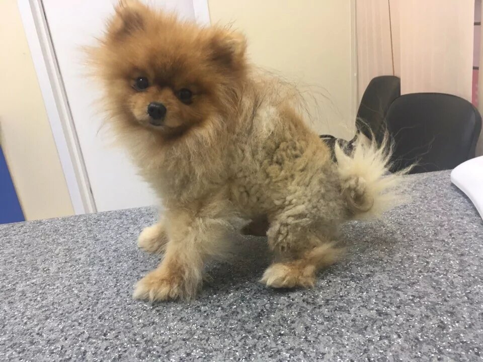 С просторов интернета