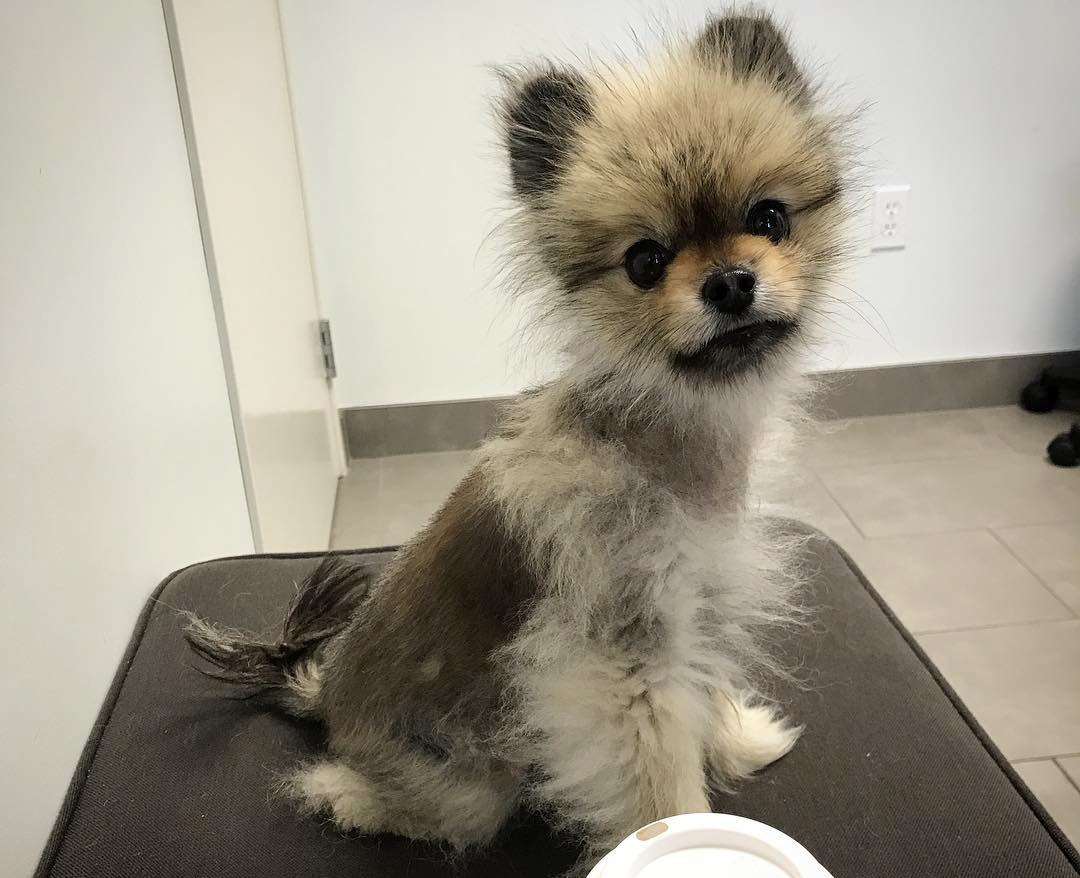 На просторах