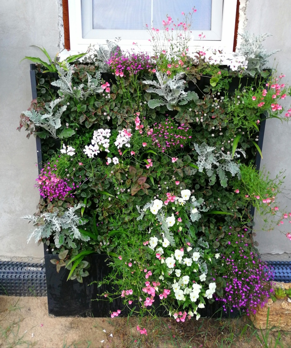 Лохматое чудище этого года. Без слов. 