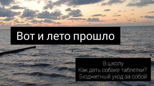 Вот и кончилось 🌞🌴🏄лето// в школу 👩‍🎓// собака и таблетки 🐶//уход за лицом🍀