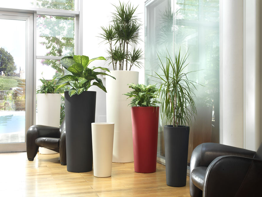 Конус Schio Итальянского бренда Teraplast