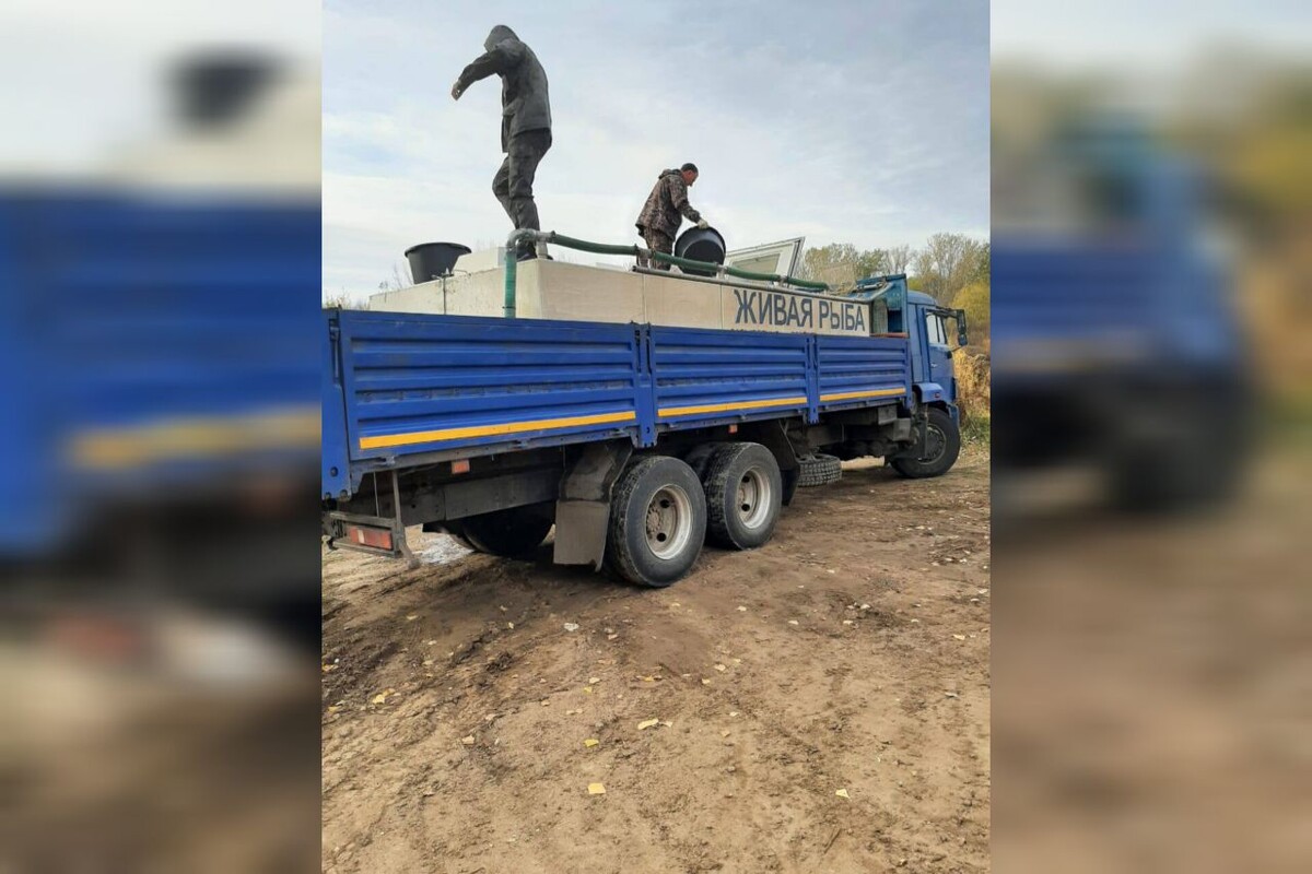    В Оренбуржье с начала года в водоемы выпущено более 28 тысяч мальков Кристина Просвиркина
