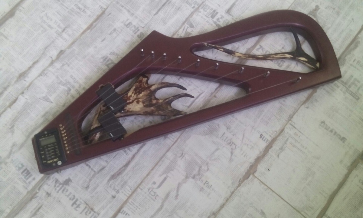 первые электрогусли Алексея