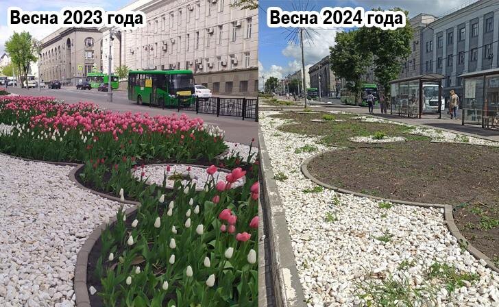    Источник фото: архив Курских известий