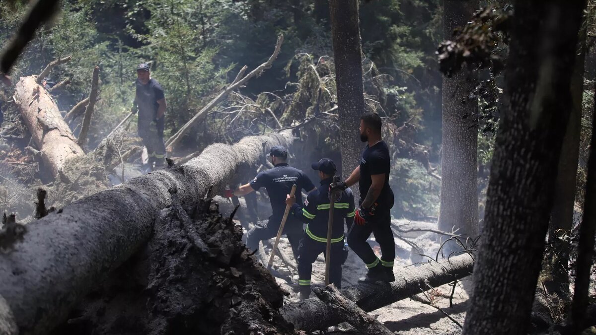 © Ministry of Internal Affairs of Georgia