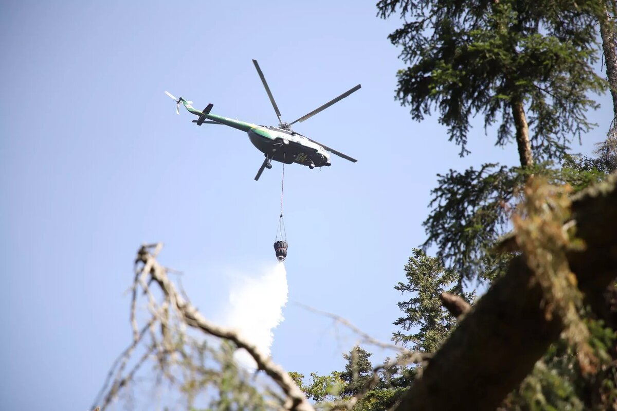 Тушение лесного пожара с вертолета © Ministry of Internal Affairs of Georgia