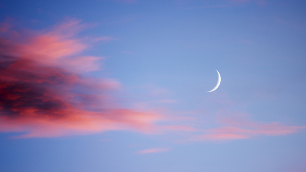    alanphillips/istockphoto.com