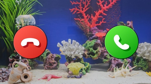 Samsung Galaxy S23 Aquarium Button Incoming Call